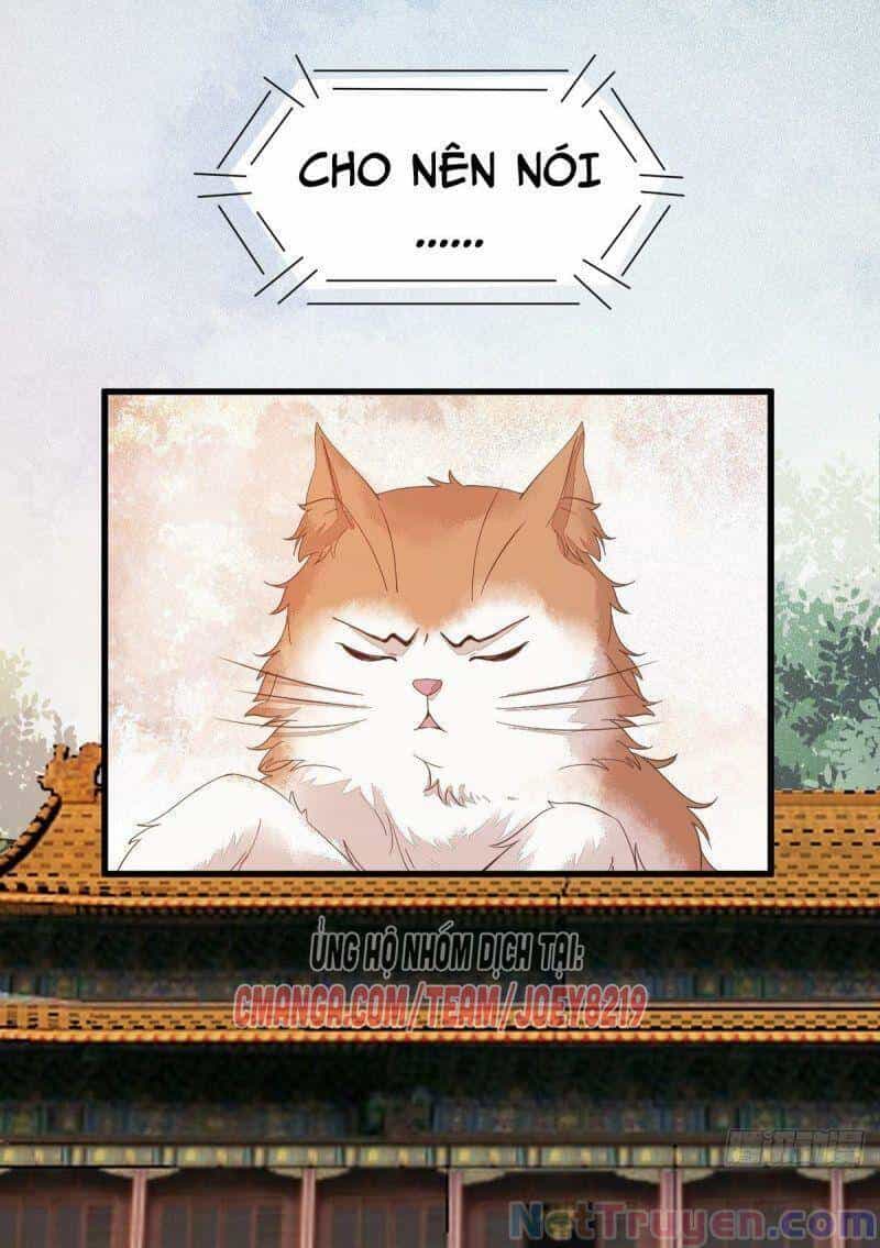 Sát Thủ Vương Phi Không Dễ Chọc - Chương 47 - ảnh 3