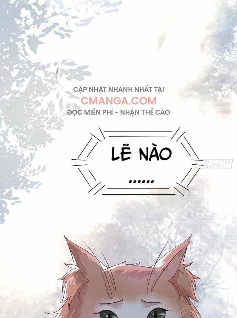 Sát Thủ Vương Phi Không Dễ Chọc - Chương 48 - ảnh 51