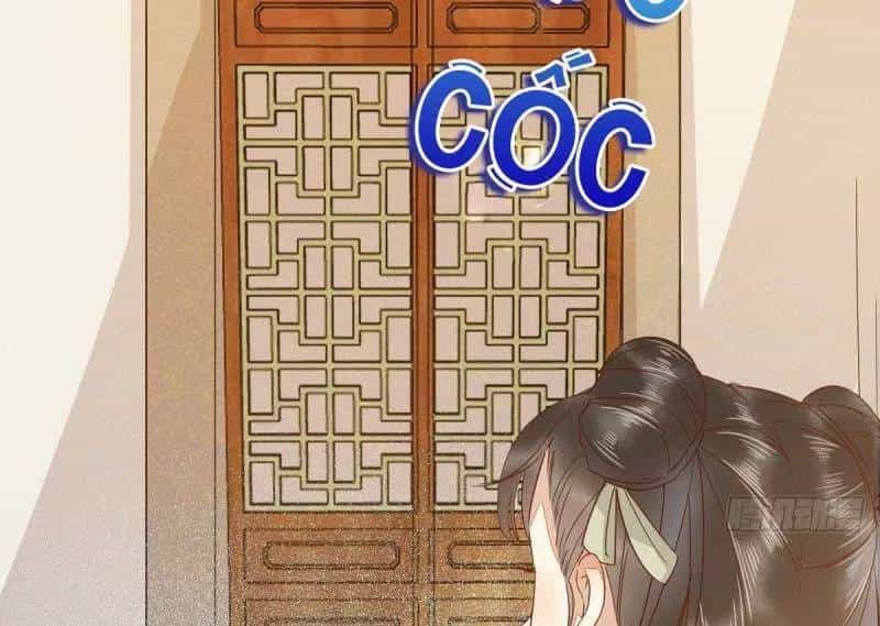 Sát Thủ Vương Phi Không Dễ Chọc - Chương 49 - ảnh 47