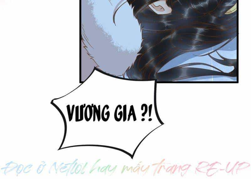 Sát Thủ Vương Phi Không Dễ Chọc - Chương 51 - ảnh 50