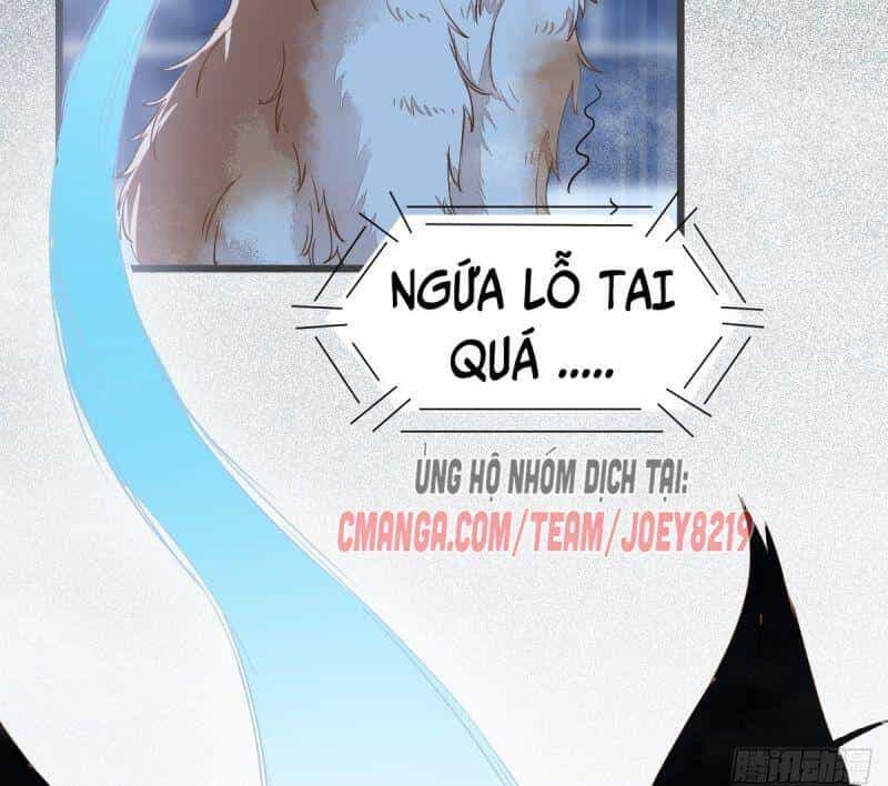 Sát Thủ Vương Phi Không Dễ Chọc - Chương 52 - ảnh 47