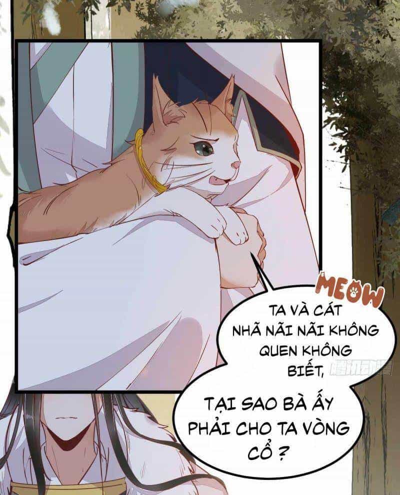 Sát Thủ Vương Phi Không Dễ Chọc - Chương 58 - ảnh 16