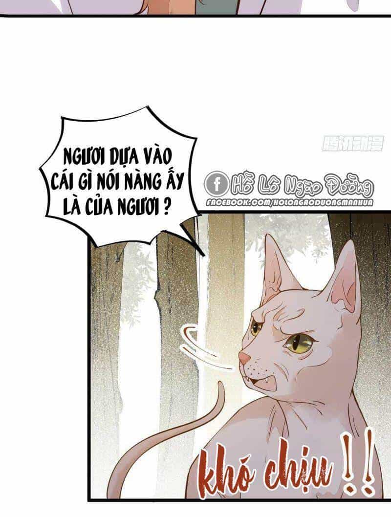 Sát Thủ Vương Phi Không Dễ Chọc - Chương 58 - ảnh 5