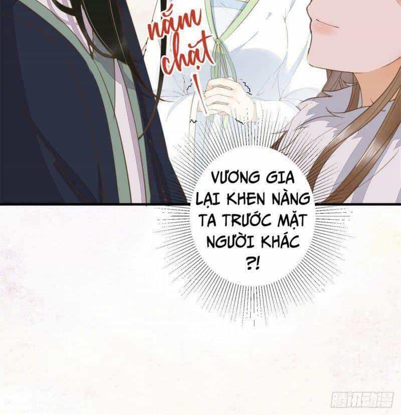 Sát Thủ Vương Phi Không Dễ Chọc - Chương 66 - ảnh 45