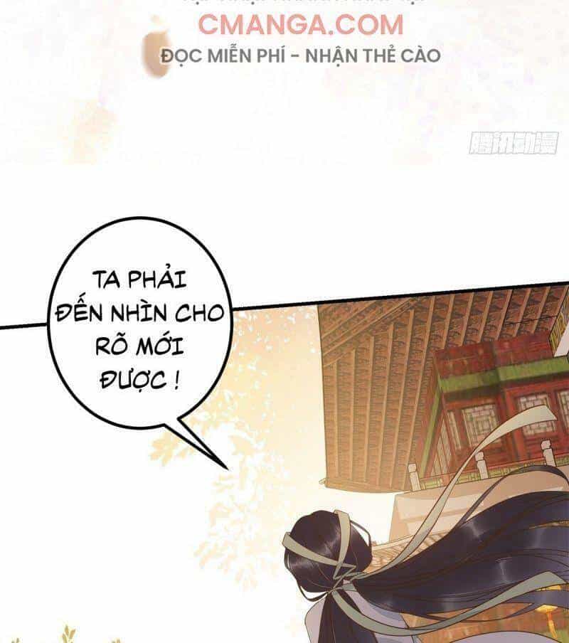 Sát Thủ Vương Phi Không Dễ Chọc - Chương 66 - ảnh 8