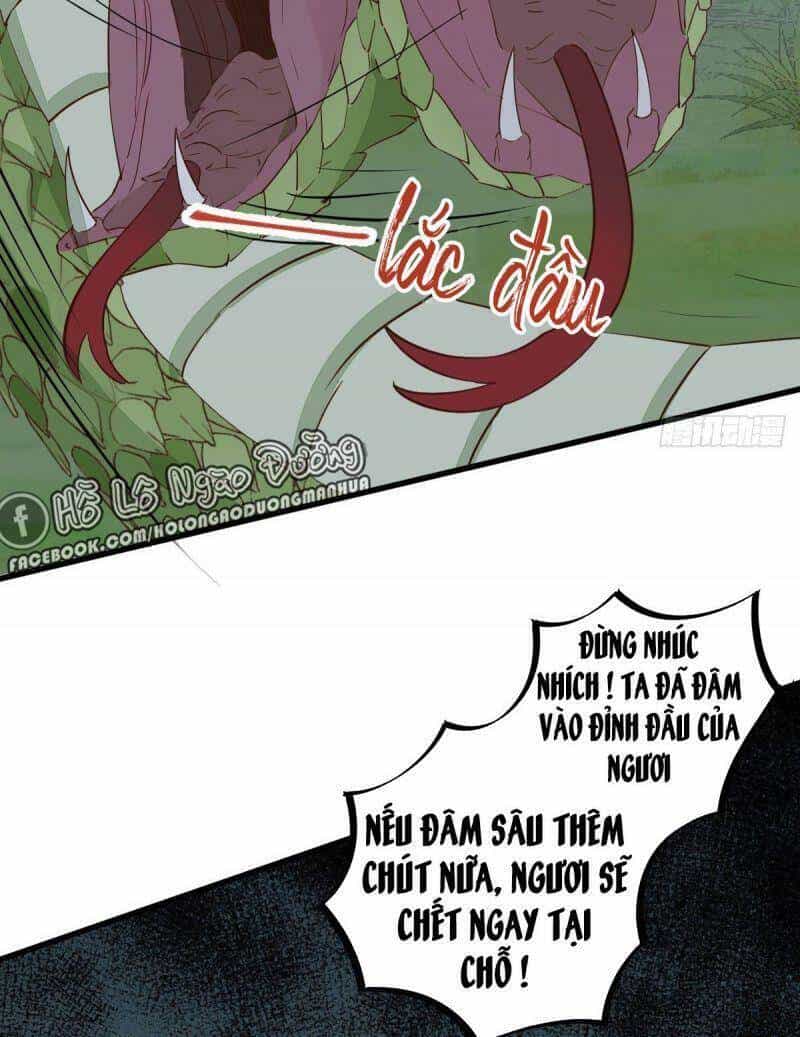 Sát Thủ Vương Phi Không Dễ Chọc - Chương 77 - ảnh 19