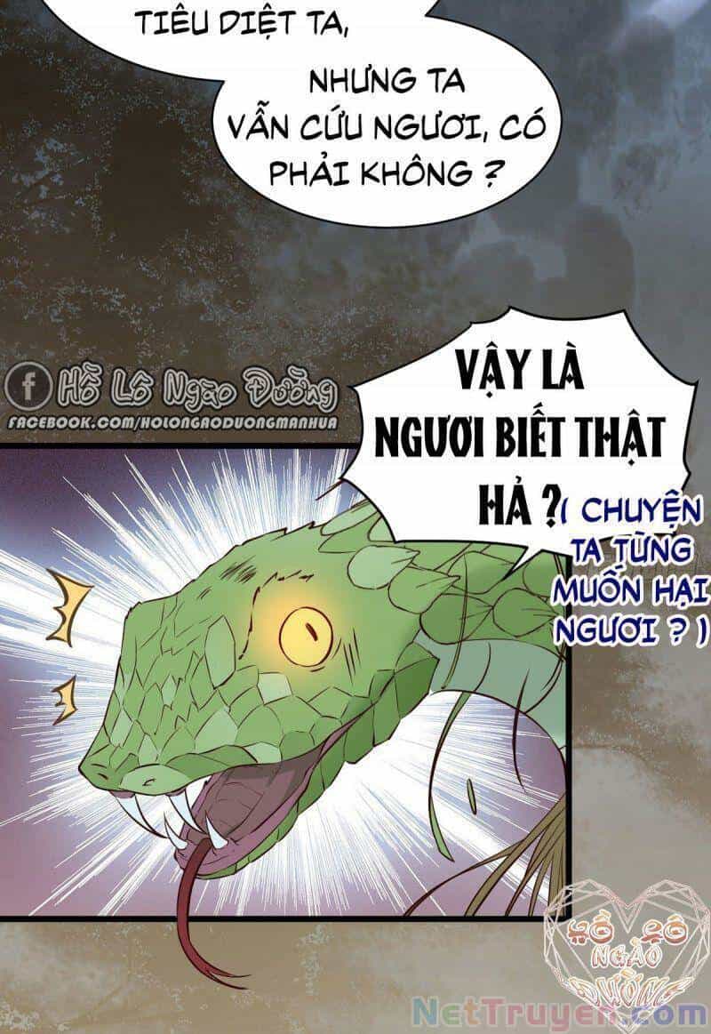 Sát Thủ Vương Phi Không Dễ Chọc - Chương 79 - ảnh 29