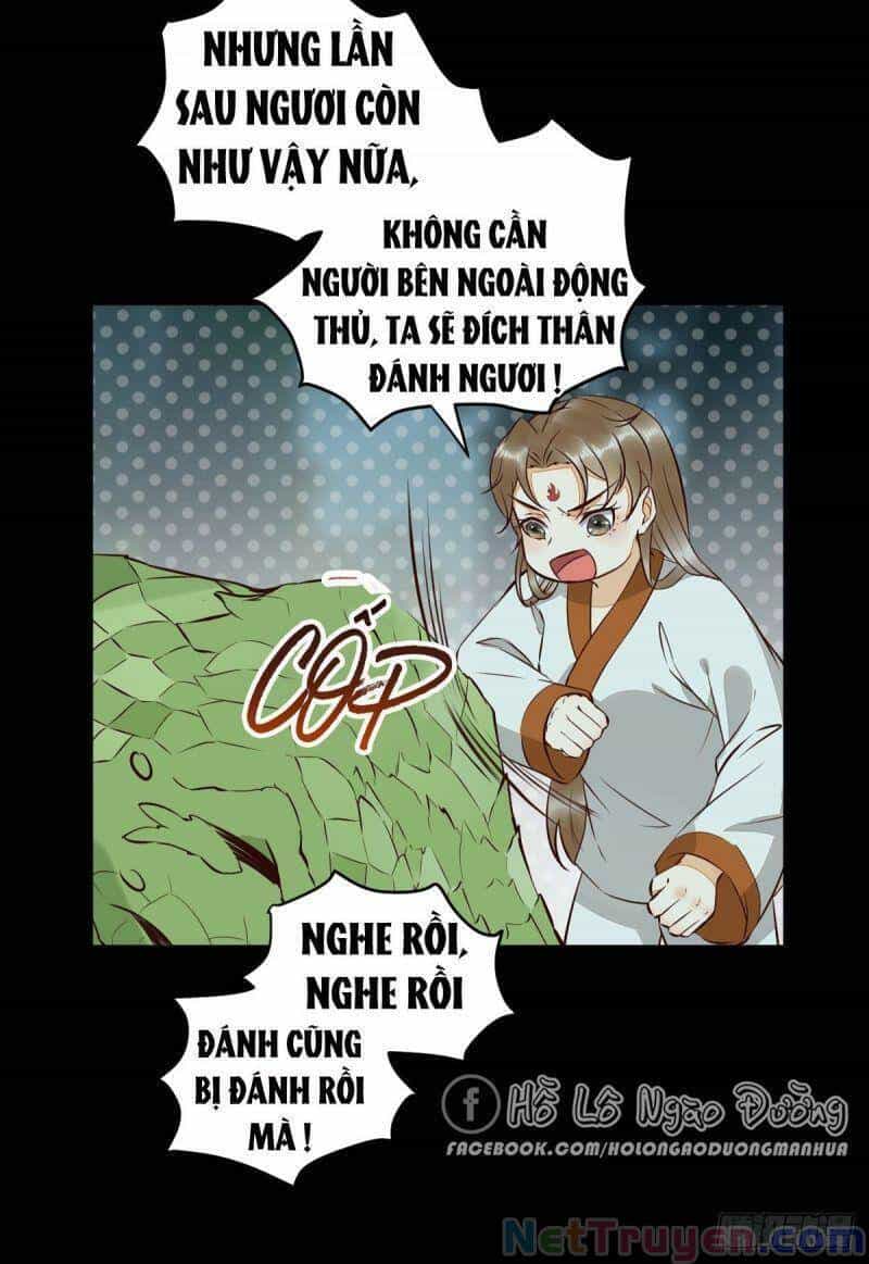 Sát Thủ Vương Phi Không Dễ Chọc - Chương 79 - ảnh 36