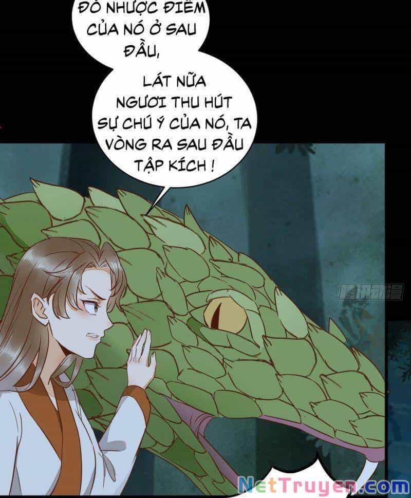 Sát Thủ Vương Phi Không Dễ Chọc - Chương 83 - ảnh 18