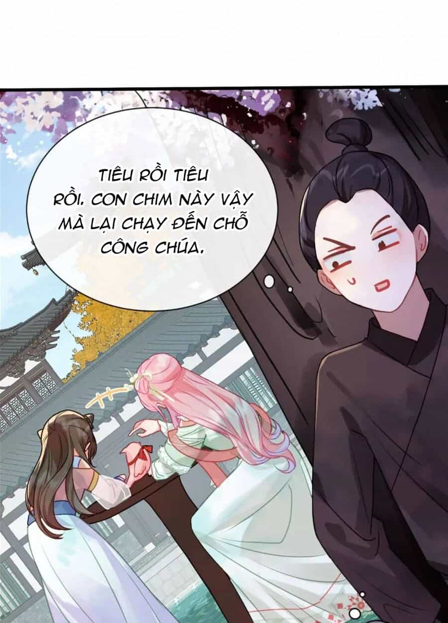 Sau Khi Công Chúa Bội Tình Bạc Nghĩa - Chương 26 - ảnh 25