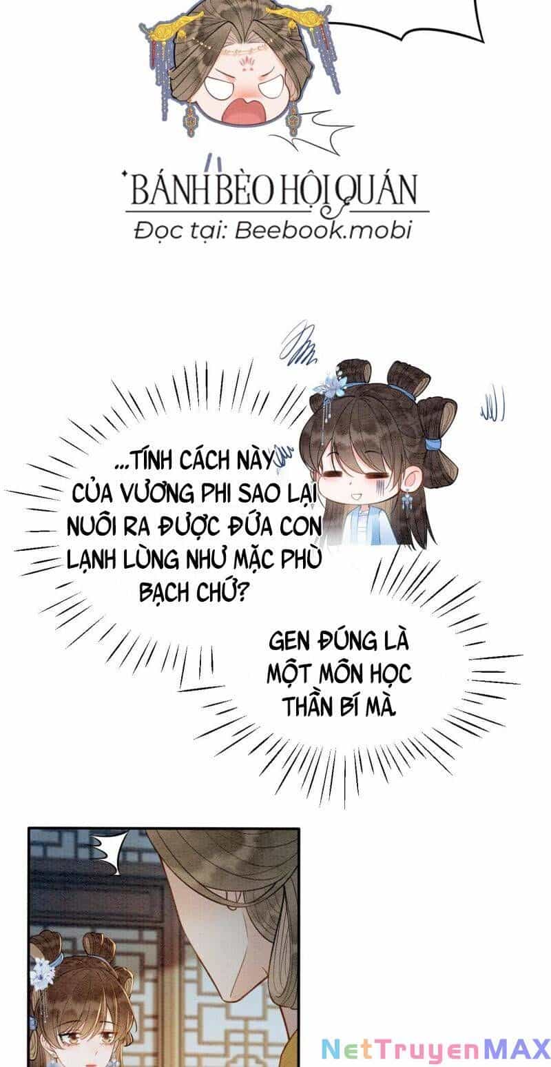 Sau Khi Nàng Bị Đánh Chết, Các Anh Trai Đều Hối Hận! - Chương 7 - ảnh 19