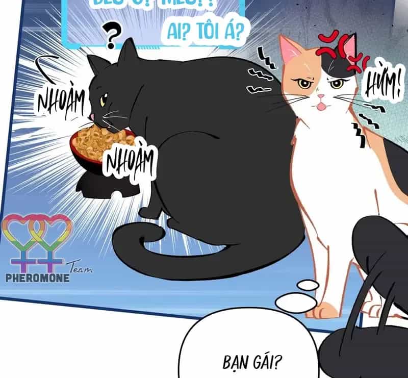 Sau Khi Xuyên Không Thành Thiên Kim Giả, Ta Lấy Lòng Thiên Kim Thật Sống Qua Ngày - Chương 52 - ảnh 25