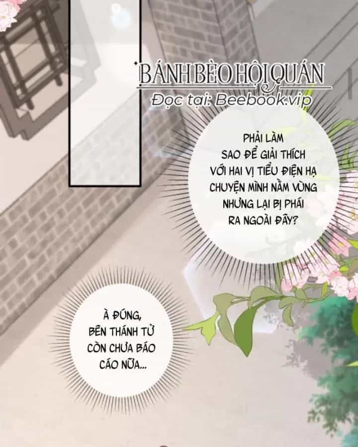 Sau Khi Xuyên Sách, 5 Nhân Cách Của Bạo Quân Đều Yêu Ta - Chương 225 - ảnh 17