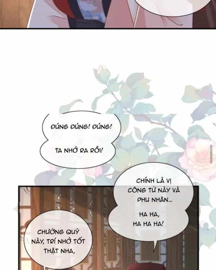 Sau Khi Xuyên Sách, 5 Nhân Cách Của Bạo Quân Đều Yêu Ta - Chương 245 - ảnh 5