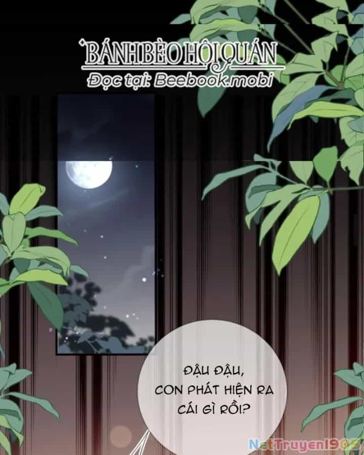 Sau Khi Xuyên Sách, 5 Nhân Cách Của Bạo Quân Đều Yêu Ta - Chương 31 - ảnh 3