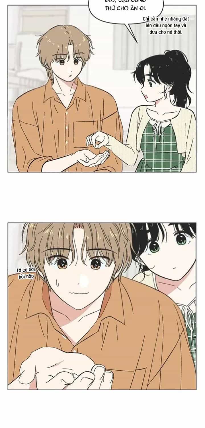 Seasons Of Lovesome - Chương 60 - ảnh 10