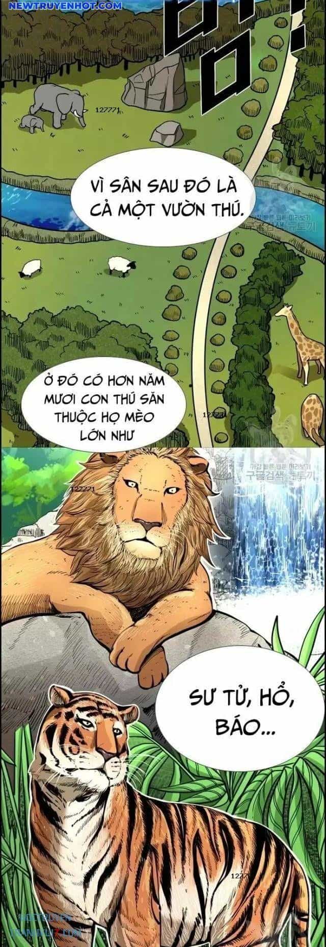 Shark - Cá Mập - Chương 222 - ảnh 10