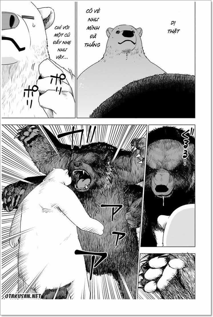 Shirokuma Tensei - Chương 2 - ảnh 7