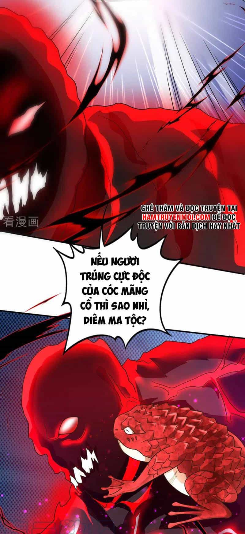 Siêu Cấp Thần Y Tại Đô Thị - Chương 265 - ảnh 15