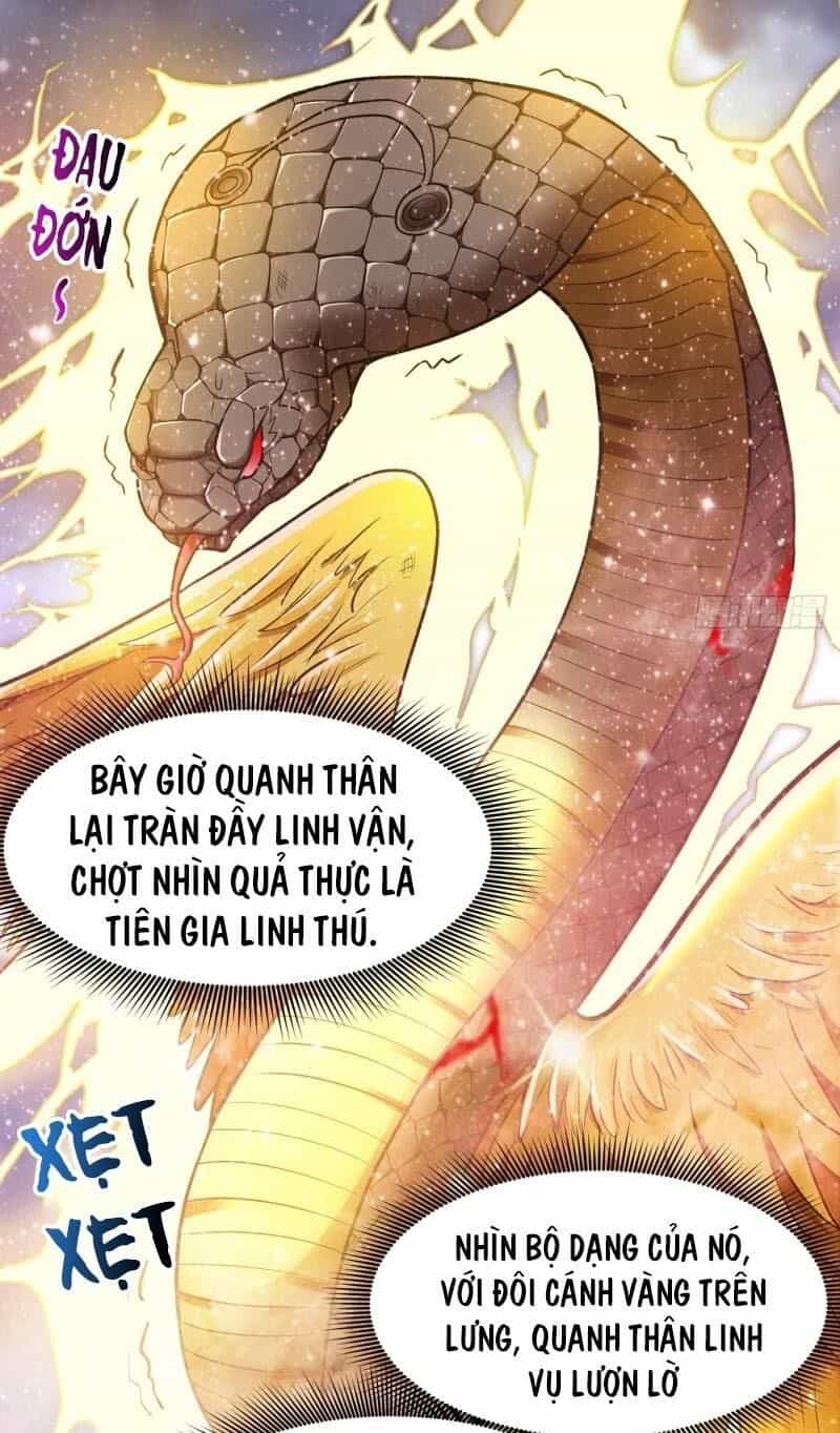 Siêu Cấp Thần Y Tại Đô Thị - Chương 72 - ảnh 8