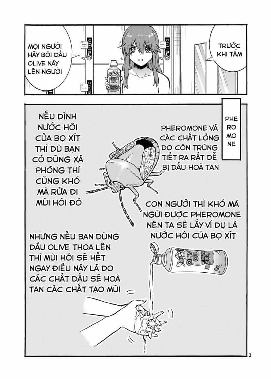 Siêu Đảo Côn Trùng - Chương 55.5 - ảnh 5