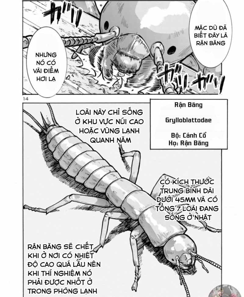 Siêu Đảo Côn Trùng - Chuong 32.5 - ảnh 15