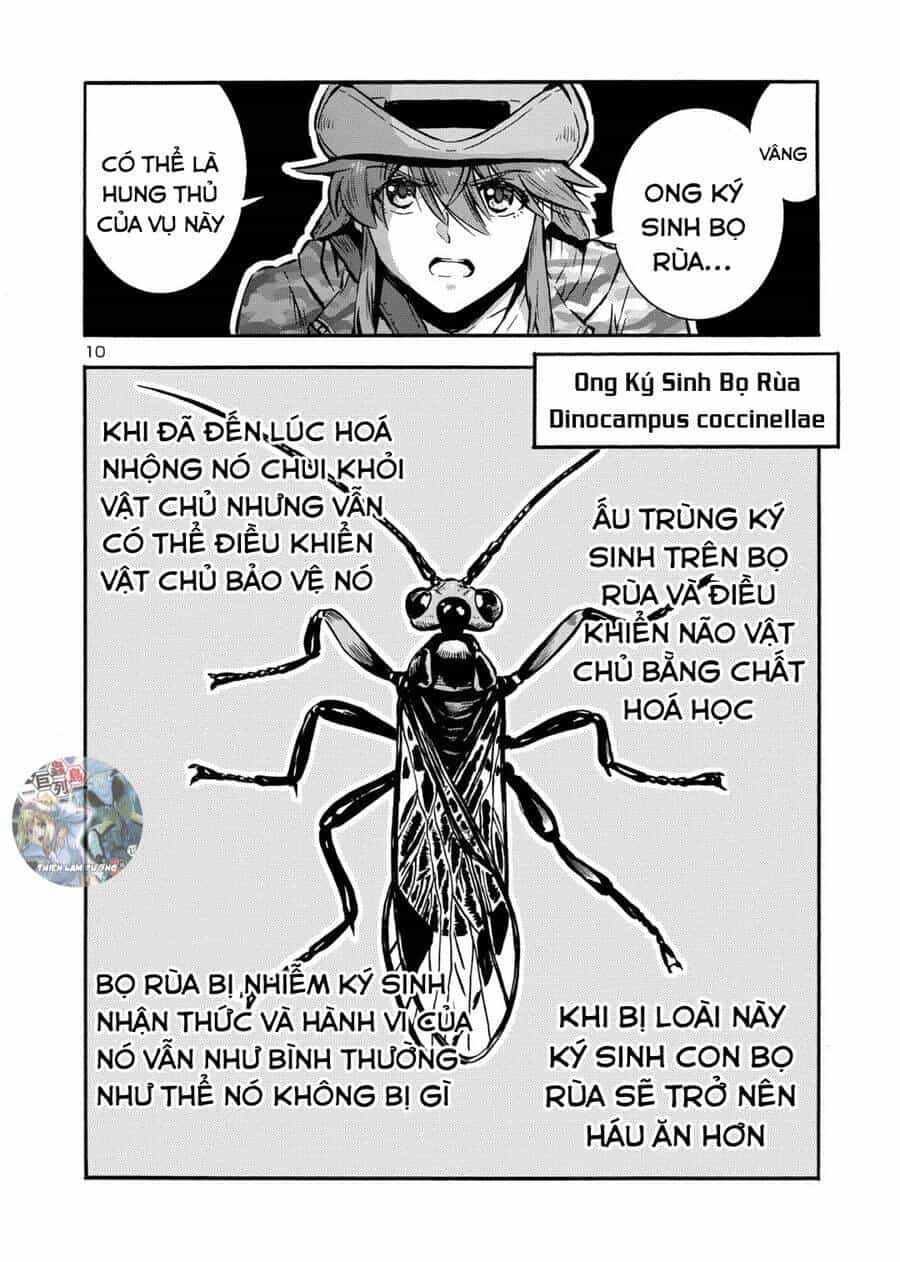 Siêu Đảo Côn Trùng - Chương 47 - ảnh 12
