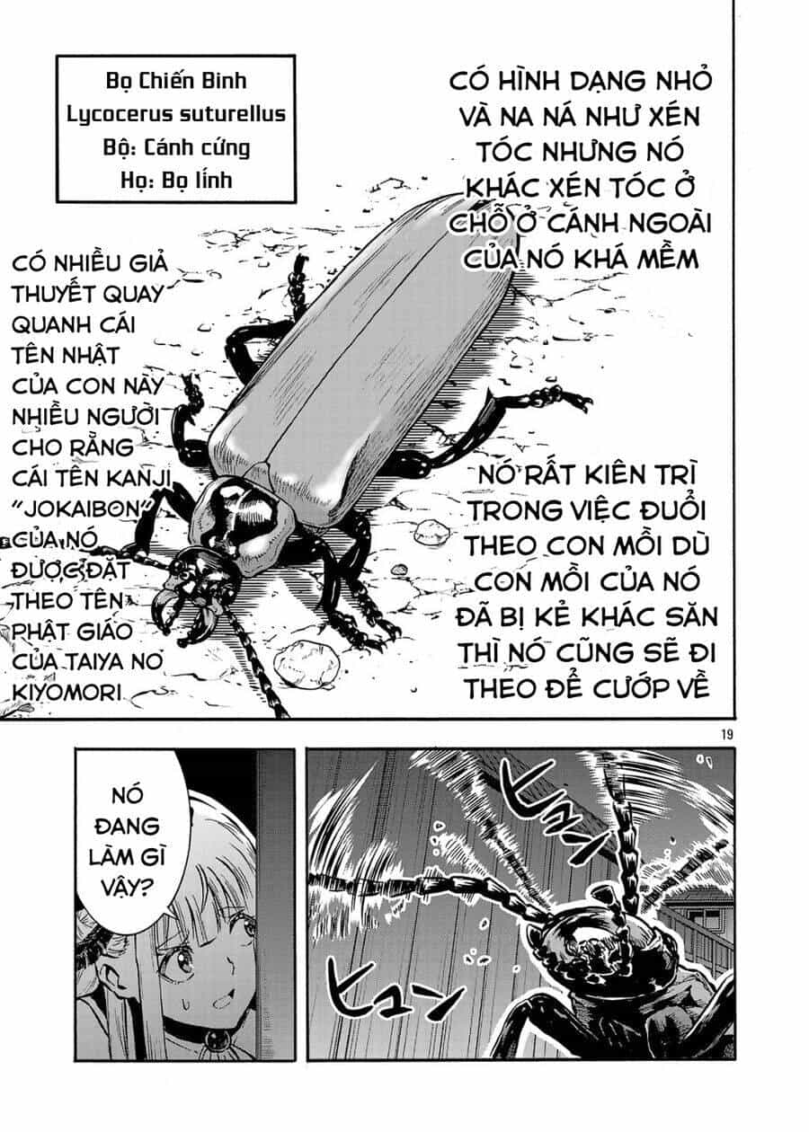 Siêu Đảo Côn Trùng - Chương 52 - ảnh 21