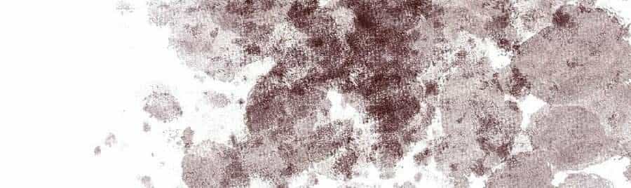 Siêu Đạo Thần Thuật - Chương 17 - ảnh 28