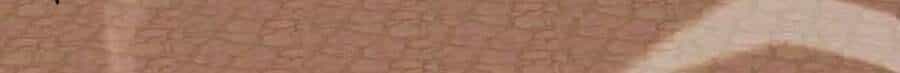 Siêu Phàm Tiến Hóa - Chương 12 - ảnh 36