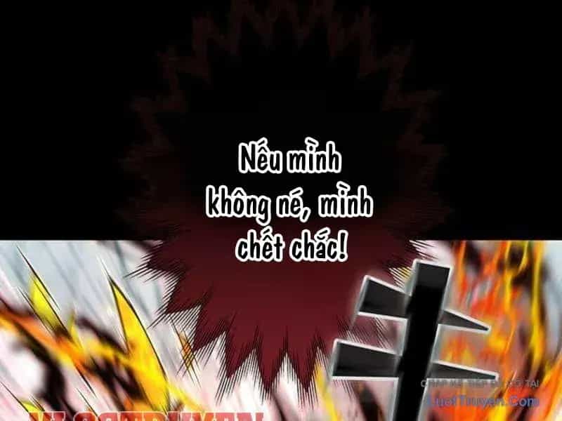 Siêu Trộm Kỹ Năng Cấp Cheat - Chương 24 - ảnh 167