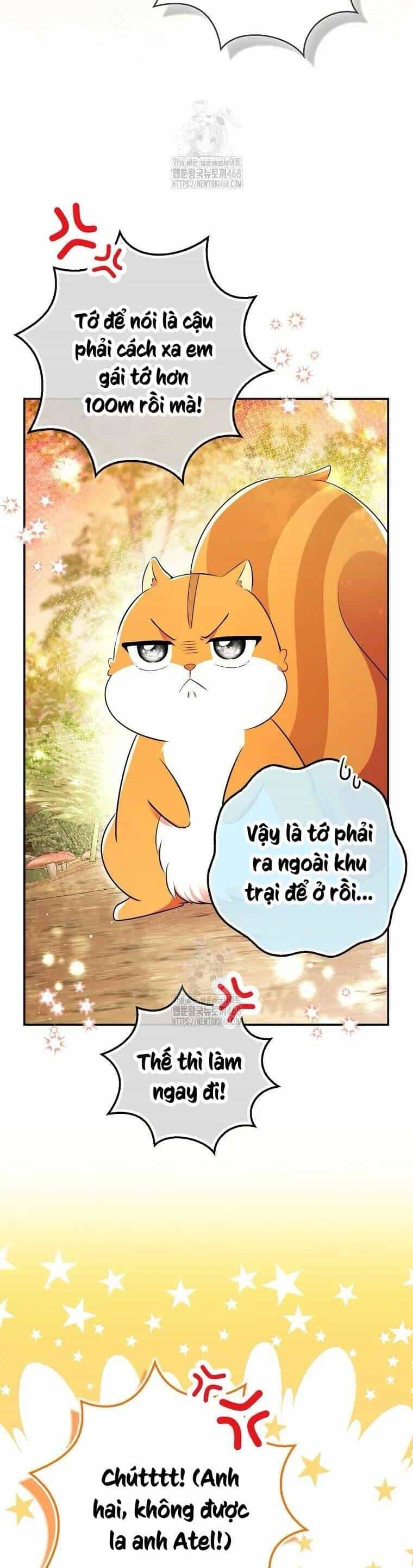 Sóc Nhỏ Tài Năng - Chương 113 - ảnh 16