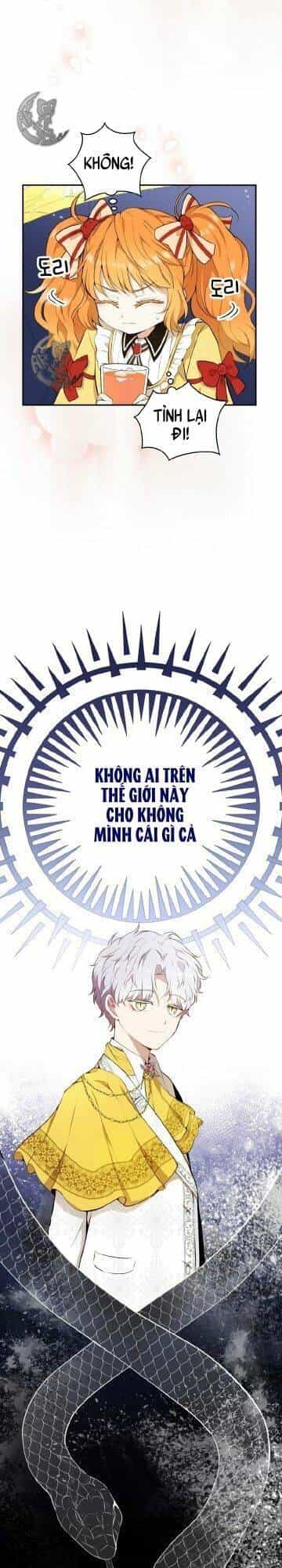 Sóc Nhỏ Tài Năng - Chương 3 - ảnh 49