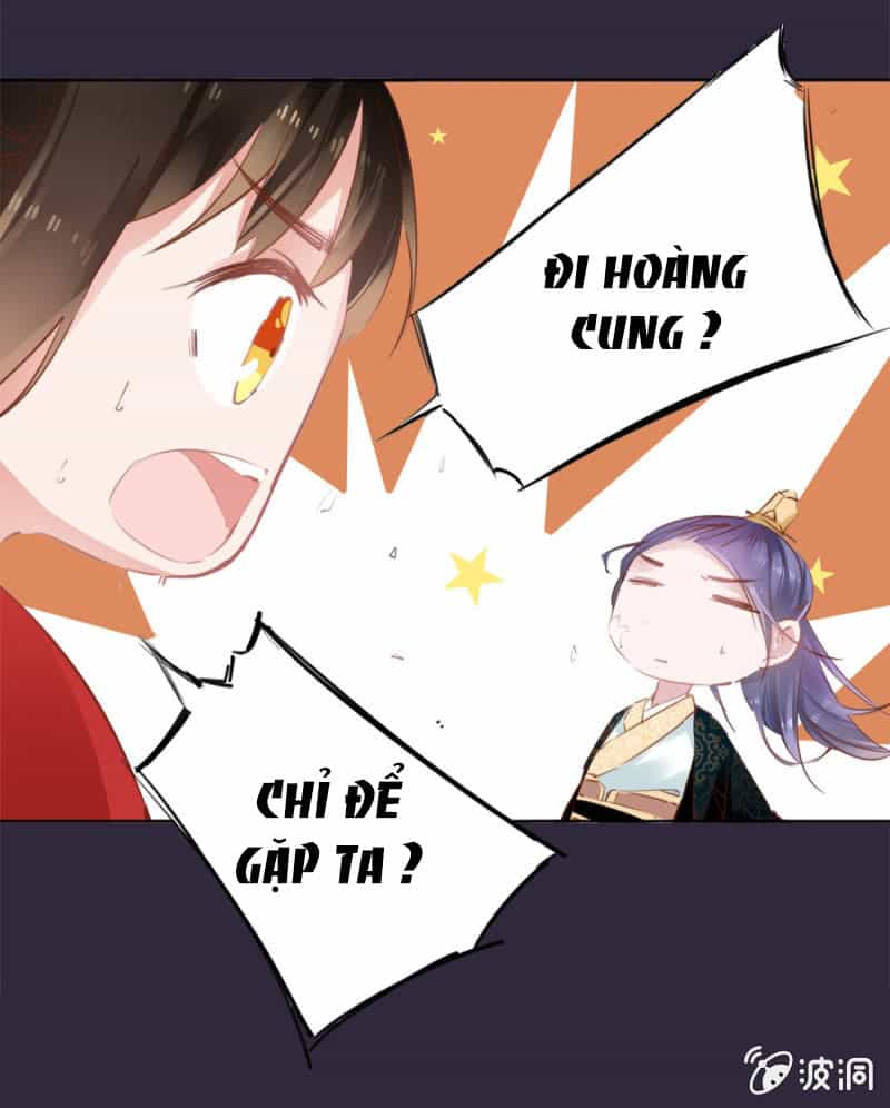 Solo Đi Vương Gia - Chương 40 - ảnh 8