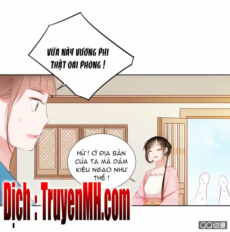Solo Đi Vương Gia - Chương 5 - ảnh 2