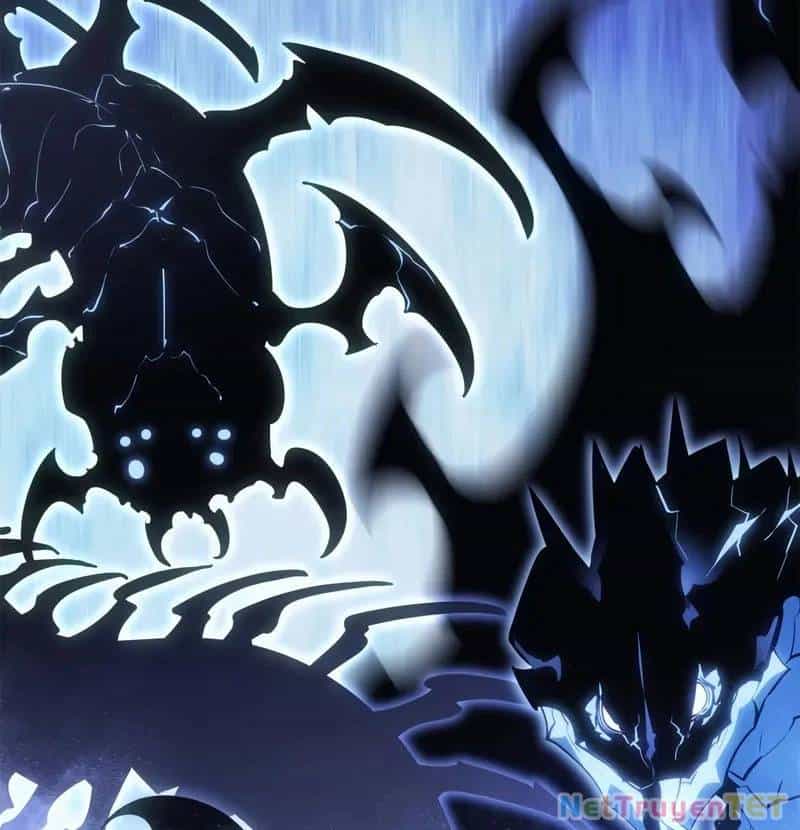 Solo Leveling Ragnarok - Chương 40 - ảnh 9