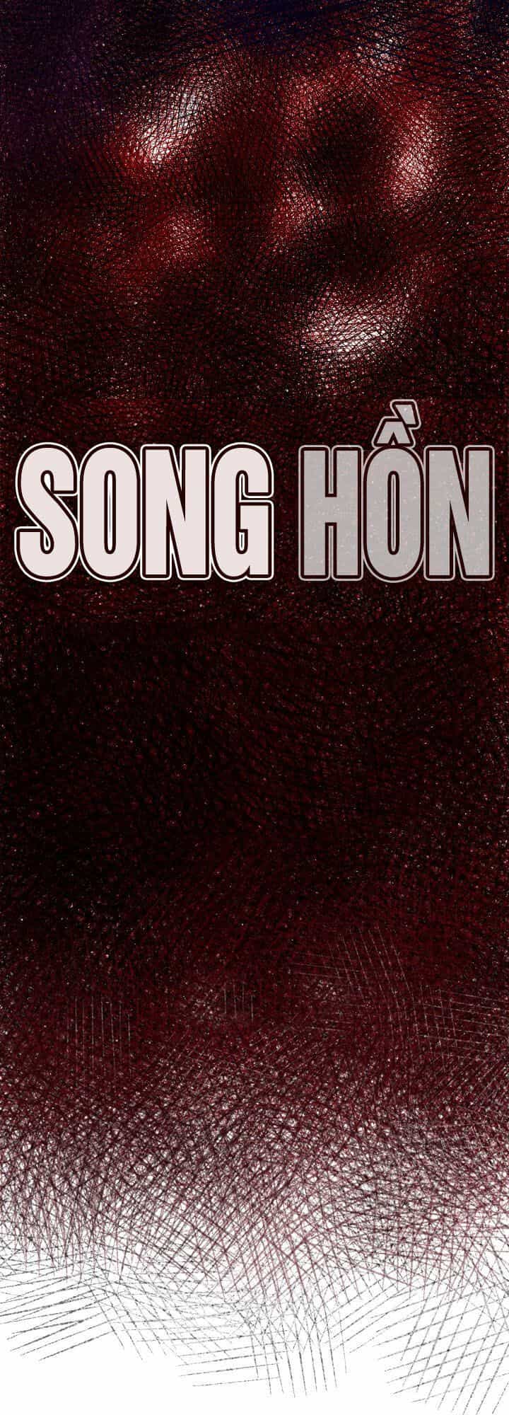 Song Hồn - Chương 14 - ảnh 2