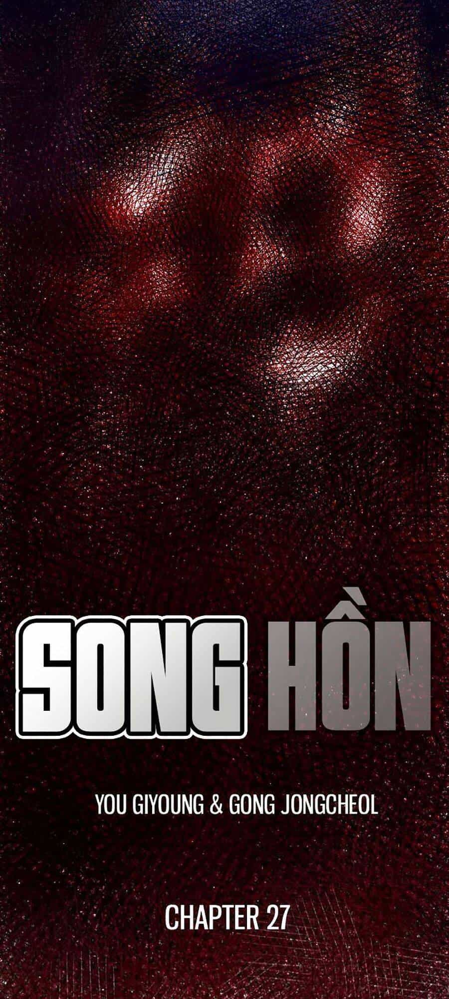 Song Hồn - Chương 27 - ảnh 3