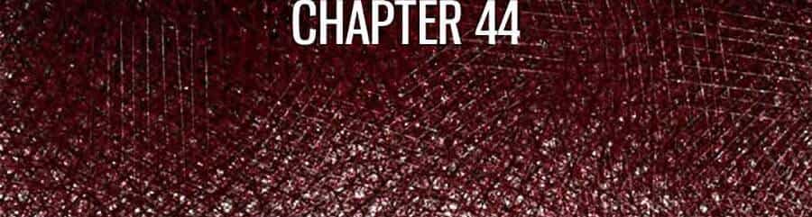 Song Hồn - Chương 44 - ảnh 4