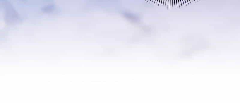 Streamer Pháp Sư - Chương 45 - ảnh 24
