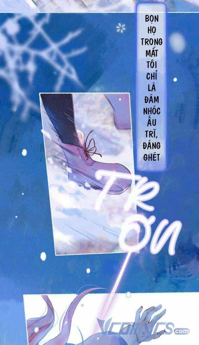 Sự Gai Góc Dịu Dàng - Chương 1 - ảnh 4