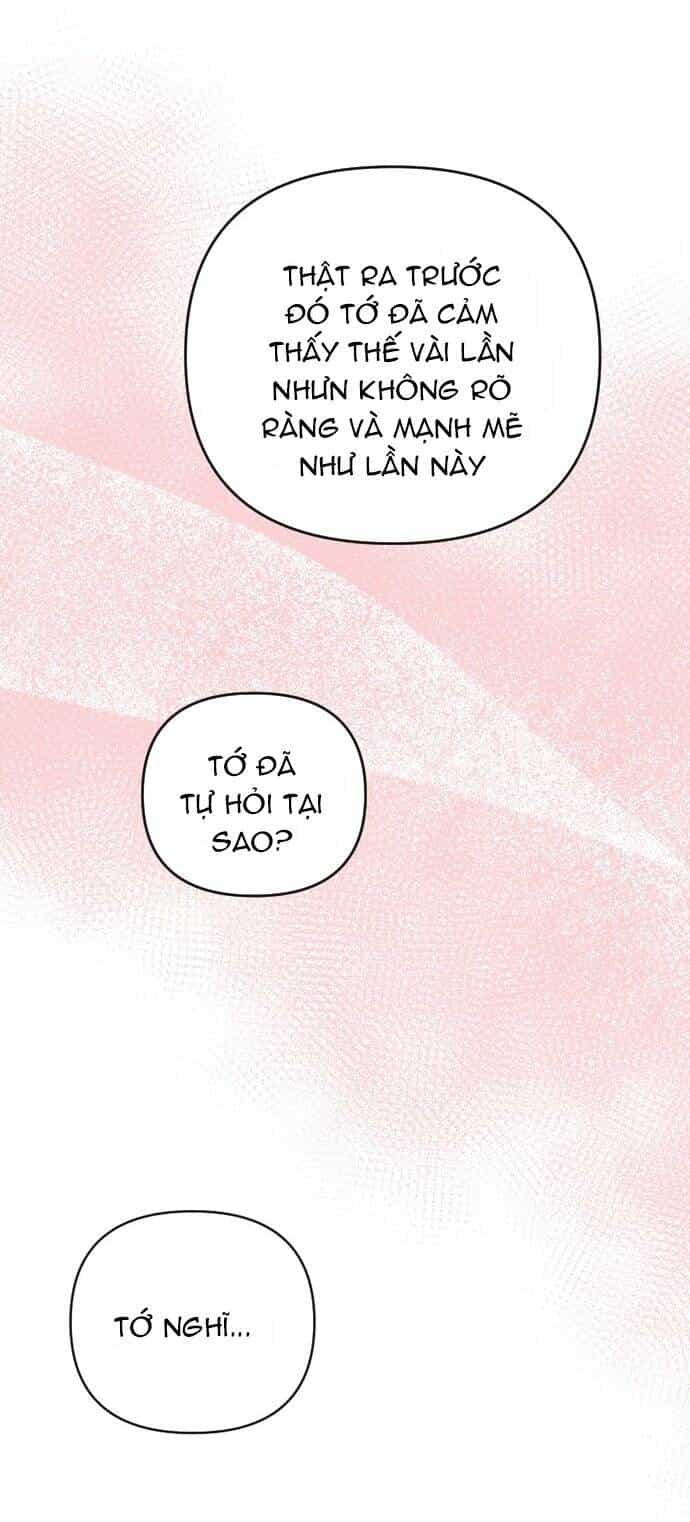 Sự Lãng Mạn Còn Tồn Tại - Chương 76 - ảnh 43
