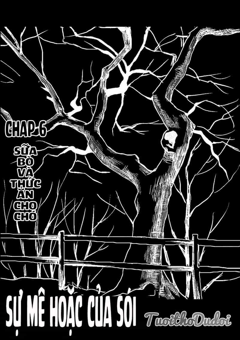 Sự Mê Hoặc Của Sói - Chương 6 - ảnh 2