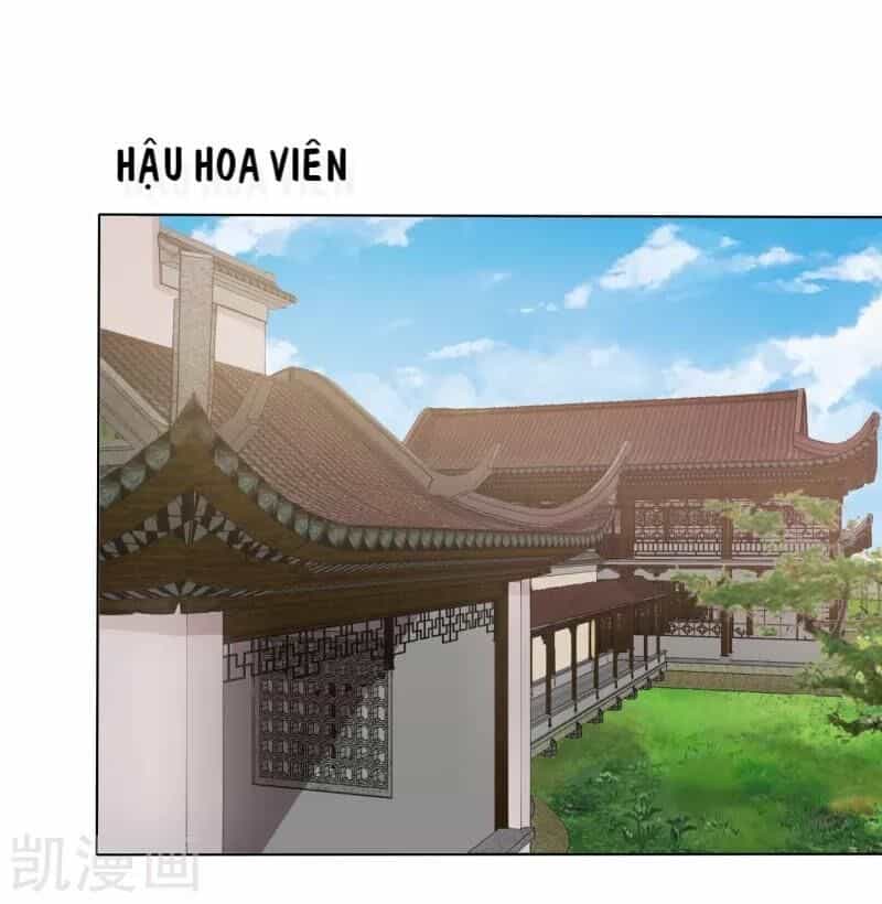 Sư Phụ, Cái Kia Ăn Ngon! - Chương 47 - ảnh 12