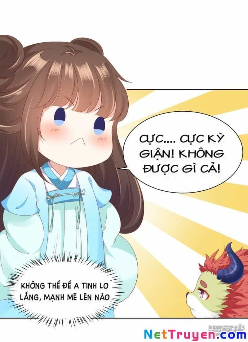 Sư Phụ, Cái Kia Ăn Ngon! - Chương 56 - ảnh 15