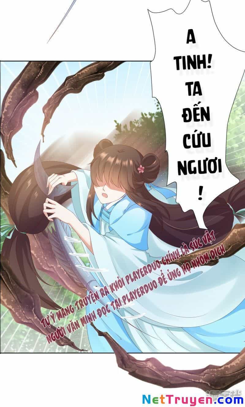 Sư Phụ, Cái Kia Ăn Ngon! - Chương 59 - ảnh 27