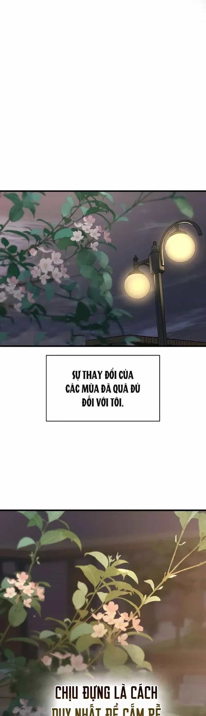 Sự Thâm Nhập Dịu Dàng - Chương 28 - ảnh 5