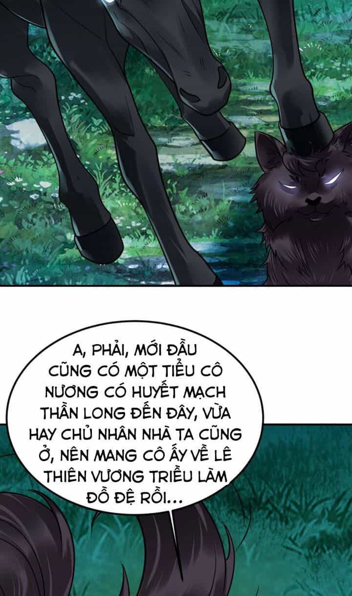 Sư Tổ Của Ta Là Thiên Hạ Đệ Nhất - Chương 19 - ảnh 37