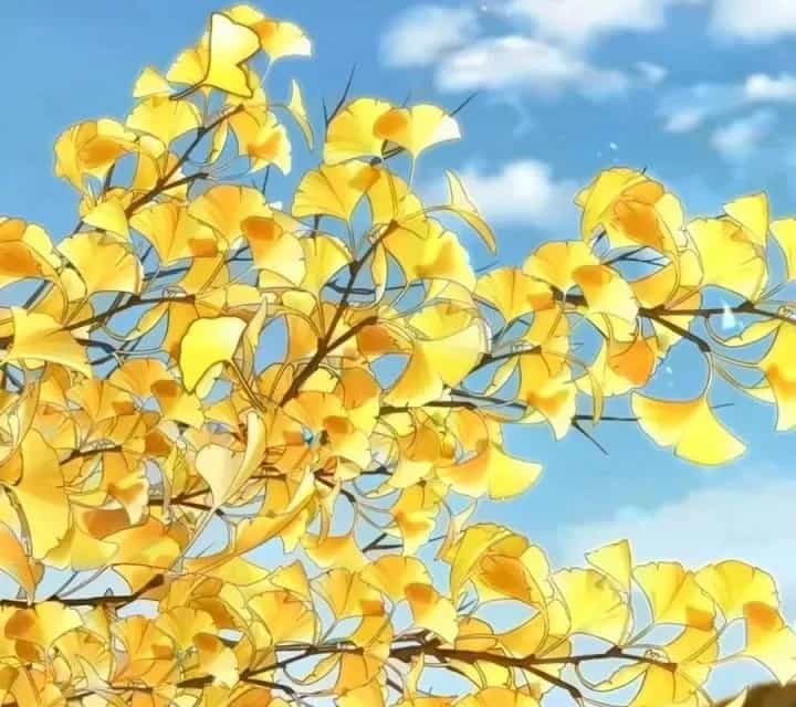 Sự Trở Lại Của Quyền Vương - Chương 51 - ảnh 25