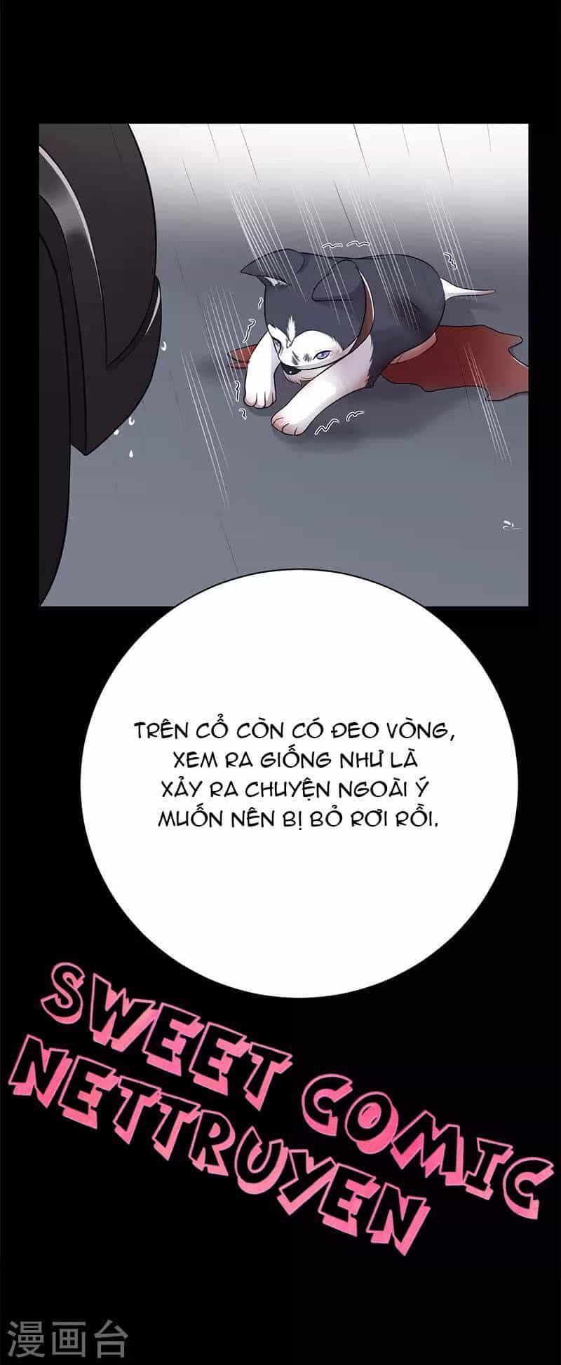 Sủng Thê Thành Nghiện: Lục Thiếu Sủng Từ Đáy Lòng - Chương 26 - ảnh 22